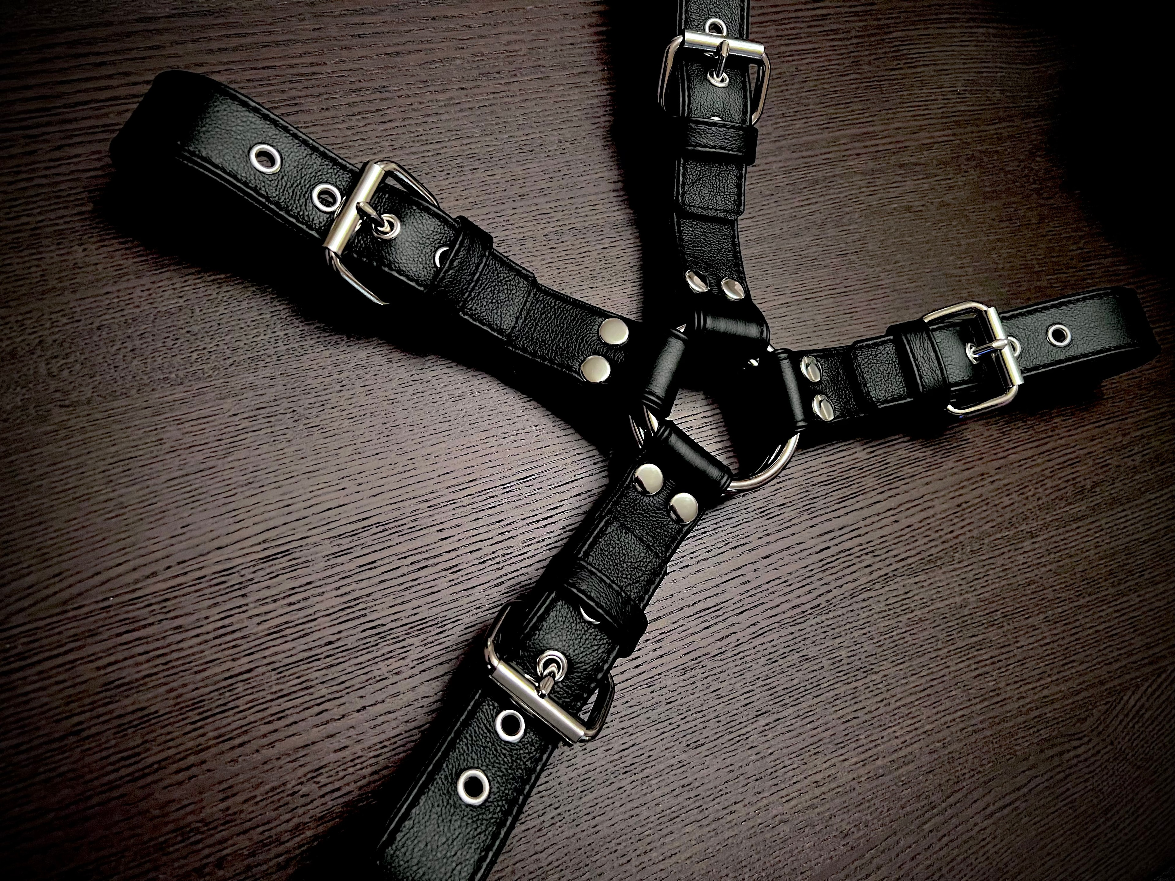 Leather harness straps flat lay on wood surface