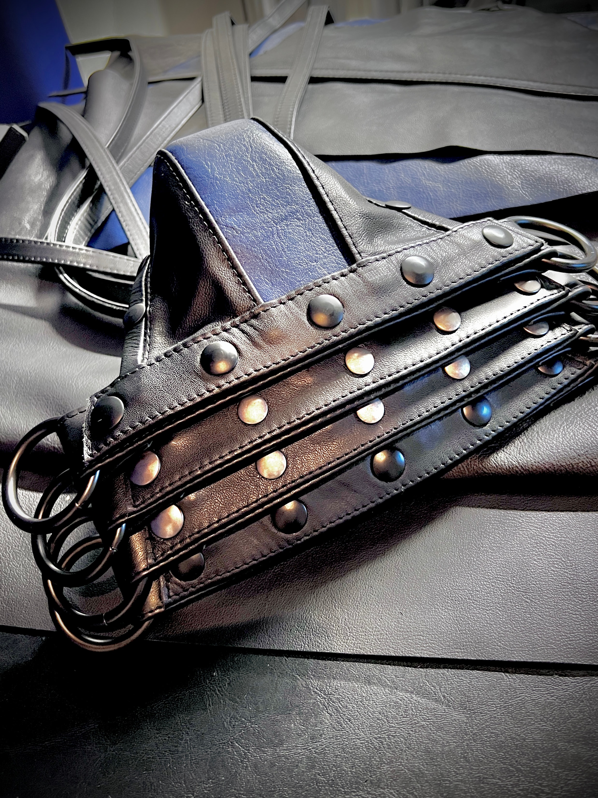 Black studded harness straps with O-rings flat lay