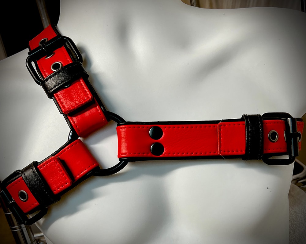 Red leather harness
