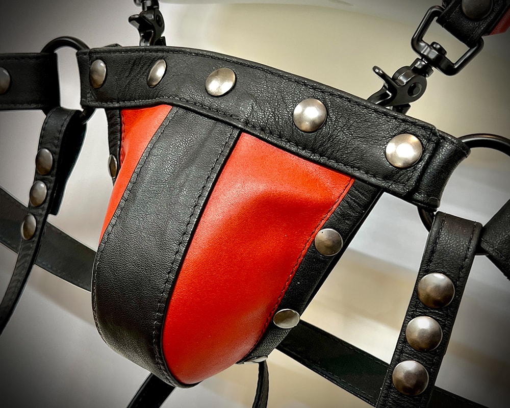 Red and black jockstrap detail