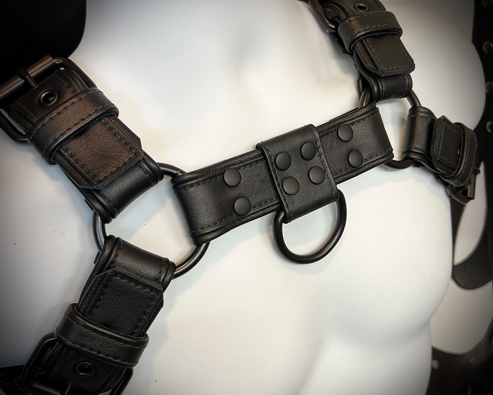 All-black leather harness